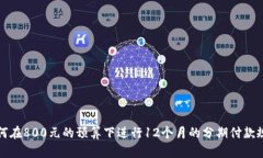 如何在800元的预算下进行