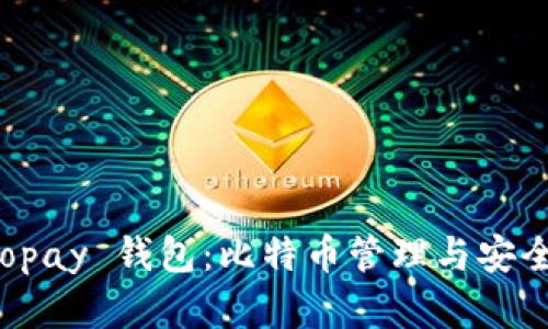 全面解析 Copay 钱包：比特币管理与安全的最佳选择