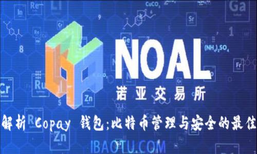 全面解析 Copay 钱包：比特币管理与安全的最佳选择