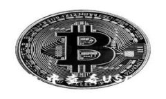 如何在TP钱包中查看USDT的