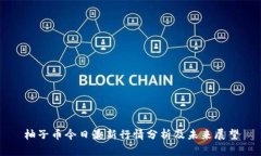 柚子币今日最新行情分析