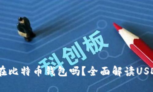 USDT能放在比特币钱包吗？全面解读USDT存储方式