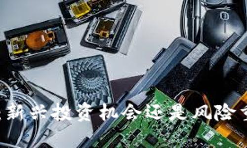 虚拟币IDO：新兴投资机会还是风险重重的陷阱？