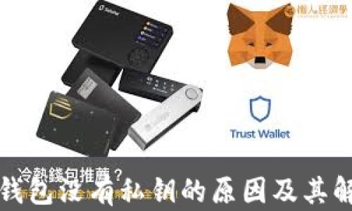 
比特币钱包没有私钥的原因及其解决方案