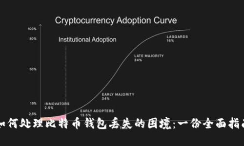 如何处理比特币钱包丢失的困境：一份全面指南