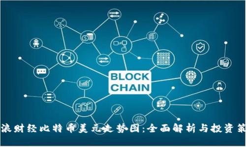新浪财经比特币美元走势图：全面解析与投资策略