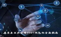 在马来西亚使用USDT钱包的