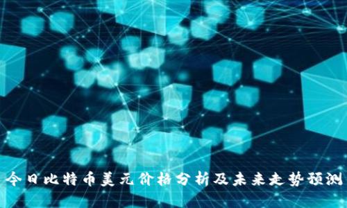 今日比特币美元价格分析及未来走势预测