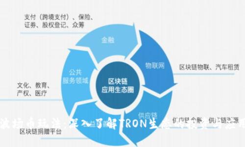 波场币玩法：深入了解TRON生态的投资与应用