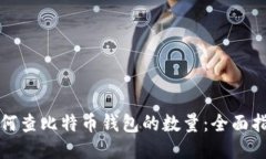 如何查比特币钱包的数量