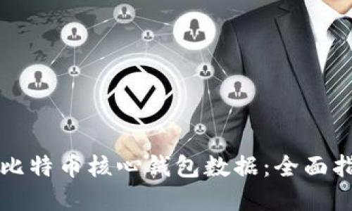 如何高效同步比特币核心钱包数据：全面指南与最佳实践