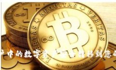 如何将火币账户中的数字