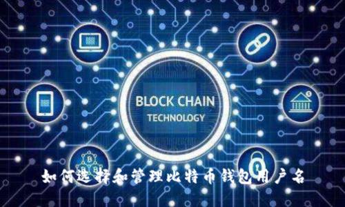 如何选择和管理比特币钱包用户名