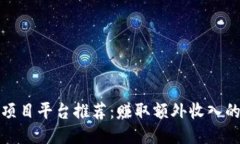 最佳搬砖项目平台推荐：