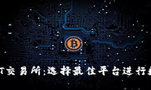  俄罗斯USDT交易所：选择最佳平台进行数字货币交易