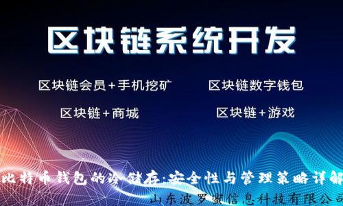 比特币钱包的冷储存：安全性与管理策略详解