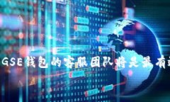   GSE虚拟钱包提币问题解析