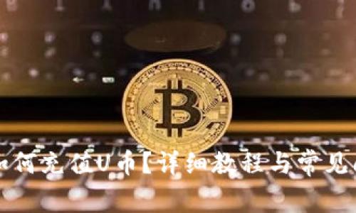 纸飞机如何充值U币？详细教程与常见问题解析