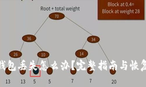 数字钱包丢失怎么办？完整指南与恢复步骤