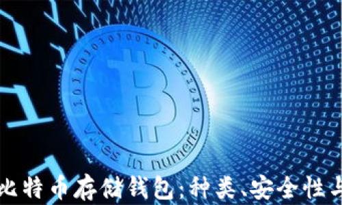全面解析比特币存储钱包:种类、安全性与使用指南
