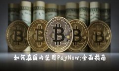 如何在国内使用PayNow：全