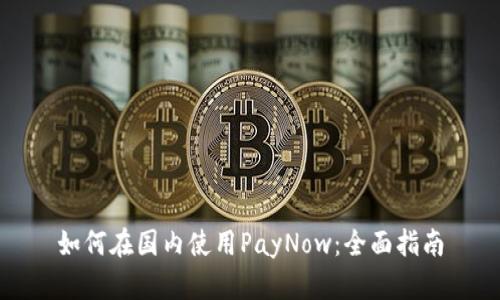 如何在国内使用PayNow：全面指南