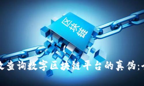 如何有效查询数字区块链平台的真伪：全面指南