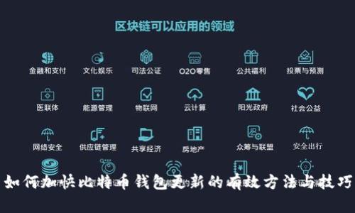 如何加快比特币钱包更新的有效方法与技巧