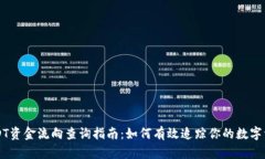 USDT资金流向查询指南：如