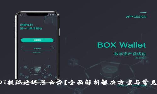  USDT提现延迟怎么办？全面解析解决方案与常见问题