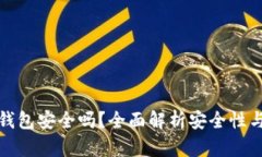 宏币虚拟钱包安全吗？全