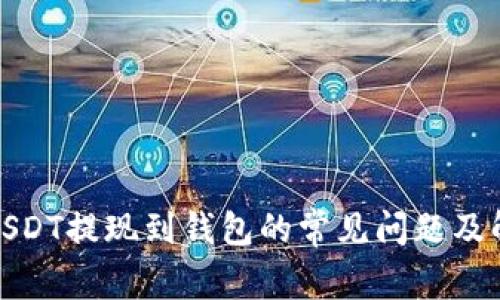 : 买完USDT提现到钱包的常见问题及解决方法