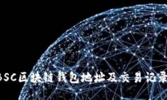 如何查询BSC区块链钱包地