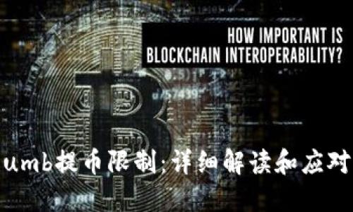 Bithumb提币限制：详细解读和应对策略
