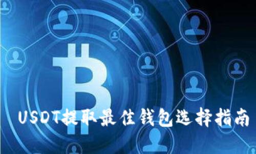  USDT提取最佳钱包选择指南