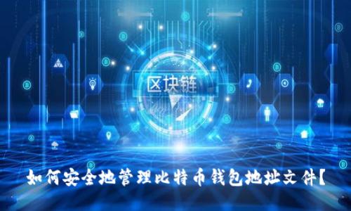 如何安全地管理比特币钱包地址文件？