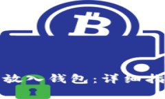 如何将虚拟币安全放入钱