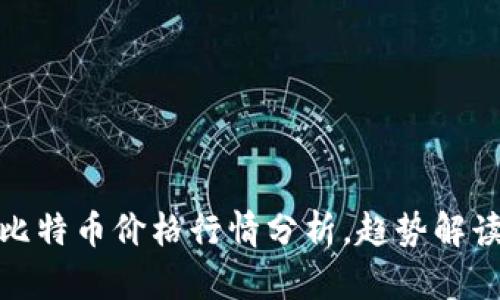 今日美元与比特币价格行情分析，趋势解读与投资建议
