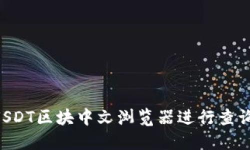 如何使用USDT区块中文浏览器进行查询：全面指南