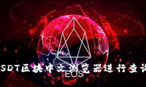 如何使用USDT区块中文浏览器进行查询：全面指南