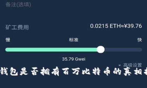 BM钱包是否拥有百万比特币的真相揭秘
