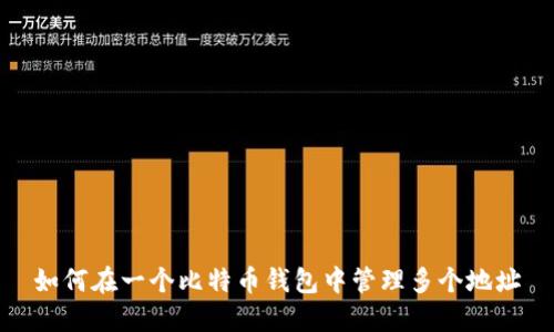 如何在一个比特币钱包中管理多个地址