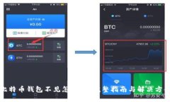 比特币钱包不见怎么办？