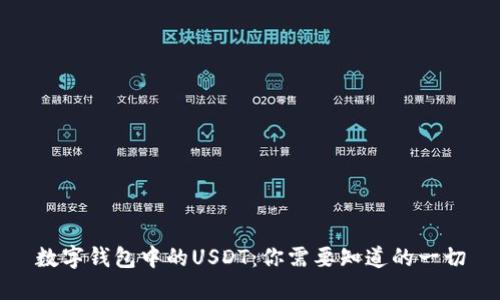 数字钱包中的USDT：你需要知道的一切
