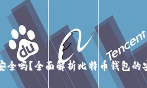 比特币数字钱包安全吗？全面解析比特币钱包的安全性及注意事项