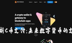 全面解析C币支付：未来数