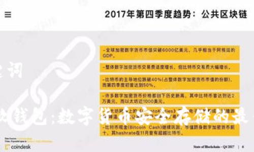 和关键词

USDT软钱包：数字货币安全存储的最佳选择