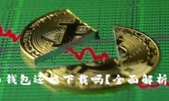 国内比特币钱包还能下载