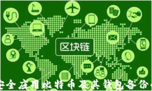 
如何安全应用比特币及其钱包备份的方法