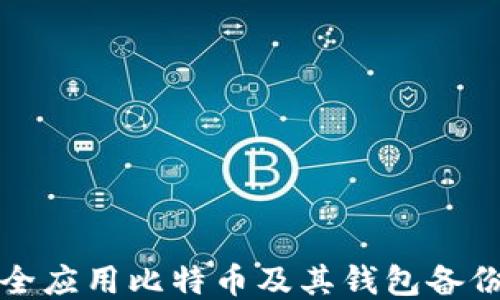 
如何安全应用比特币及其钱包备份的方法